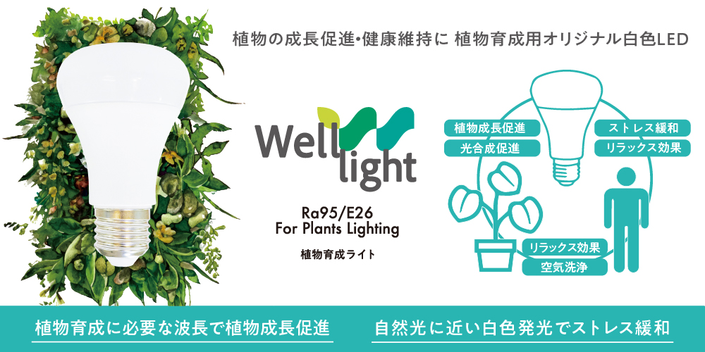 日比谷花壇ドットビズ】花と緑の総合仕入れサイトHIBIYA-KADAN.BIZ